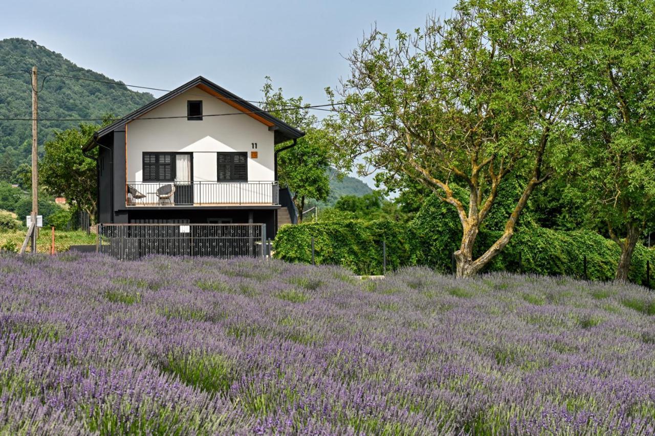 Vacation Home - Nest Kalnik 外观 照片