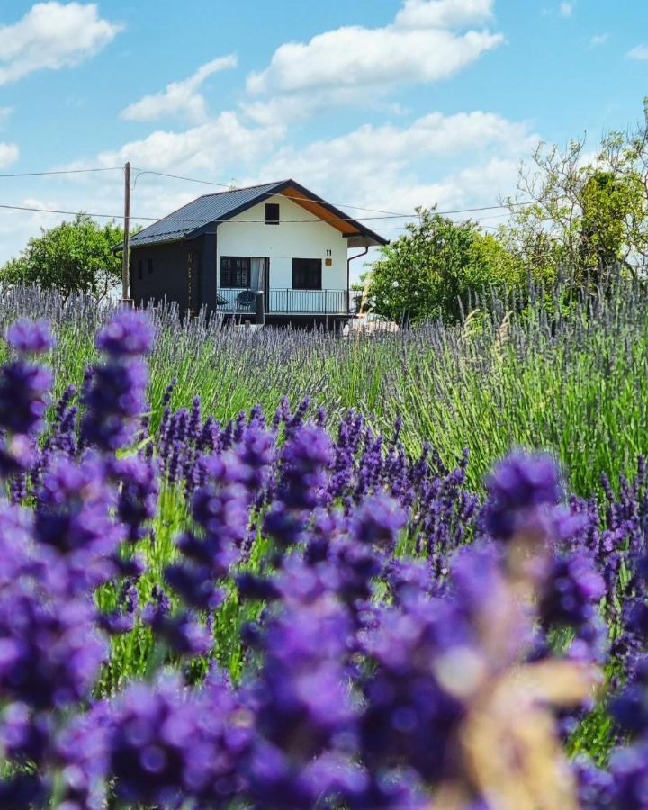 Vacation Home - Nest Kalnik 外观 照片