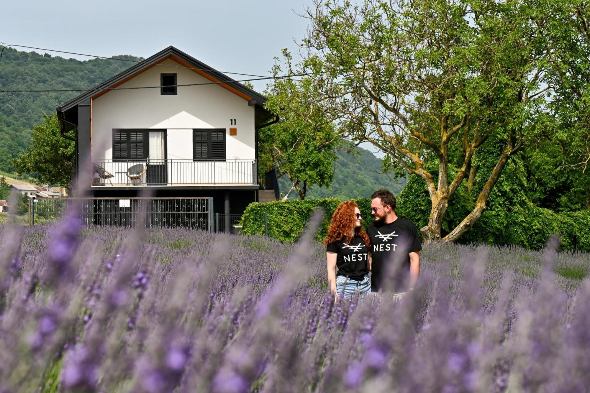 Vacation Home - Nest Kalnik 外观 照片